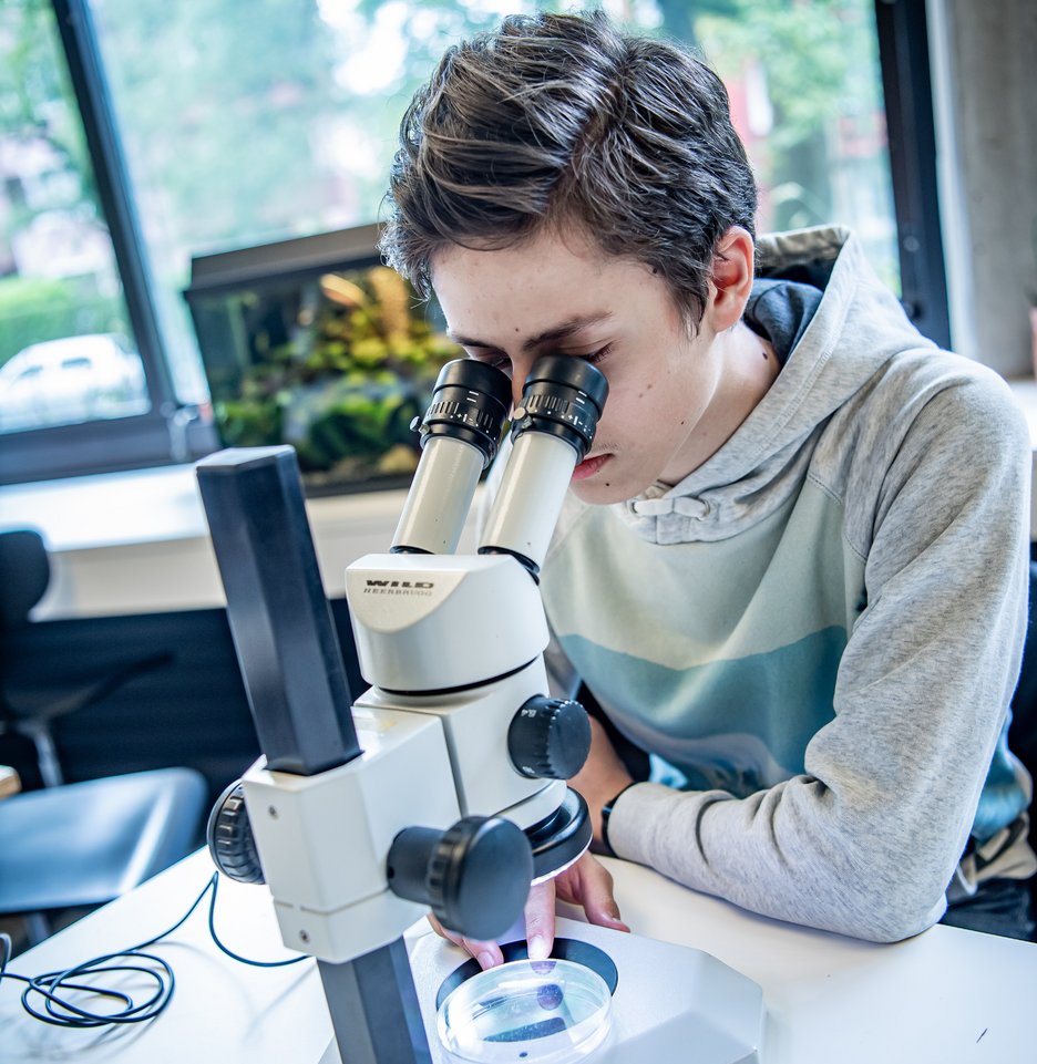 Schüler am Mikroskop